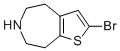 2-BROMO-5,6,7,8-TETRAHYDRO-4H-THIENO[2,3-D]AZEPINE CAS#: 873015-85-1