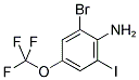 2-BROMO-6-IODO-4-TRIFLUOROMETHOXYANILINE CAS#: 845866-77-5