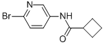 2-Bromo-5-(cyclobutanoylamino)-pyridine CAS#: 885267-03-8