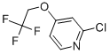 2-CHLORO-4-(2,2,2-TRIFLUORO-ETHOXY)-PYRIDINE CAS#: 885277-01-0