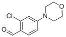 2-CHLORO-4-MORPHOLIN-4-YL-BENZALDEHYDE CAS#: 886501-36-6