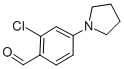 2-CHLORO-4-PYRROLIDIN-1-YL-BENZALDEHYDE CAS#: 886500-65-8