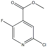 2-CHLORO-5-FLUOROISONICOTINIC ACID METHYL ESTER CAS#: 876919-10-7