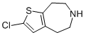 2-CHLORO-5,6,7,8-TETRAHYDRO-4H-THIENO[2,3-D]AZEPINE CAS#: 873015-86-2
