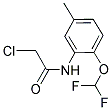2-CHLORO-N-(2-DIFLUOROMETHOXY-5-METHYL-PHENYL)-ACETAMIDE CAS#: 832127-58-9
