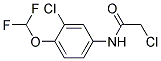 2-CHLORO-N-(3-CHLORO-4-DIFLUOROMETHOXY-PHENYL)-ACETAMIDE CAS#: 832122-45-9