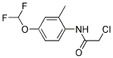 2-CHLORO-N-(4-DIFLUOROMETHOXY-2-METHYL-PHENYL)-ACETAMIDE CAS#: 832127-56-7