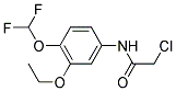 2-CHLORO-N-(4-DIFLUOROMETHOXY-3-ETHOXY-PHENYL)-ACETAMIDE CAS#: 832127-42-1
