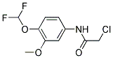 2-CHLORO-N-(4-DIFLUOROMETHOXY-3-METHOXY-PHENYL)-ACETAMIDE CAS#: 832126-07-5