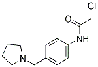 2-CHLORO-N-(4-PYRROLIDIN-1-YLMETHYL-PHENYL)-ACETAMIDE CAS#: 842965-59-7