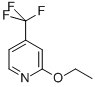 2-ETHOXY-4-(TRIFLUOROMETHYL)PYRIDINE CAS#: 858421-08-6
