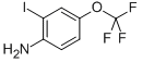 2-IODO-4-TRIFLUOROMETHOXYANILINE CAS#: 845866-79-7