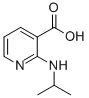 2-ISOPROPYLAMINO-NICOTINIC ACID CAS#: 885275-12-7
