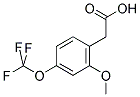 2-METHOXY-4-(TRIFLUOROMETHOXY)PHENYLACETIC ACID CAS#: 886500-45-4