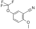 2-METHOXY-5-TRIFLUOROMETHOXY-BENZONITRILE CAS#: 886500-03-4