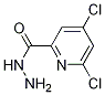 2-Pyridinecarboxylic acid, 4,6-dichloro-, hydrazide CAS#: 858443-28-4