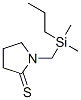 2-Pyrrolidinethione,  1-[(dimethylpropylsilyl)methyl]- CAS#: 872415-86-6