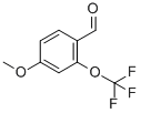 2-Trifluoromethoxy-4-methoxybenzaldehyde CAS#: 886503-52-2