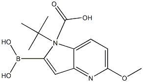 2-borono-5-methoxy-1H-Pyrrolo[3,2-b]pyridine-1-carboxylic acid 1-(1,1-dimethylethyl)ester CAS#: 848357-95-9