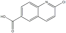 2-chloroquinoline-6-carboxylic acid CAS#: 849996-80-1