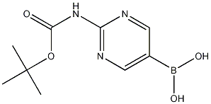[2-[(tert-Butoxycarbonyl)amino]pyrimidin-5-yl]boronic acid CAS#: 883231-25-2