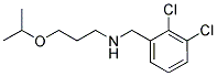 (2,3-DICHLORO-BENZYL)-(3-ISOPROPOXY-PROPYL)-AMINE CAS#: 842968-49-4