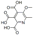 2,3,4-Pyridinetricarboxylic acid, 5-methoxy-6-methyl- CAS#: 874493-16-0