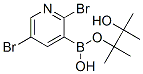 2,5-DIBROMOPYRIDINE-3-BORONIC ACID PINACOL ESTER CAS#: 852228-17-2