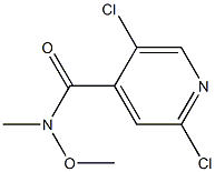 2,5-Dichloro-N-methoxy-N-methylisonicotinamide CAS#: 864674-17-9