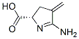 2H-Pyrrole-2-carboxylic acid, 5-amino-3,4-dihydro-4-methylene-, (2S)- CAS#: 869305-94-2