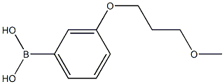(3-(3-Methoxypropoxy)phenyl)boronic acid CAS#: 863252-62-4