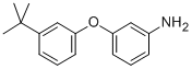 3-(3-TERT-BUTYL-PHENOXY)-PHENYLAMINE CAS#: 887579-79-5