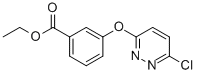 3-(6-CHLORO-PYRIDAZIN-3-YLOXY)-BENZOIC ACID ETHYL ESTER CAS#: 862821-18-9