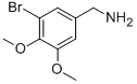 3-BROMO-4,5-DIMETHOXYBENZYLAMINE CAS#: 887583-02-0
