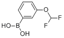 3-(Difluoromethoxy)-benzeneboronic acid CAS#: 866607-09-2