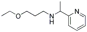 (3-ETHOXY-PROPYL)-(1-PYRIDIN-2-YL-ETHYL)-AMINE CAS#: 842966-29-4