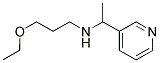 (3-ETHOXY-PROPYL)-(1-PYRIDIN-3-YL-ETHYL)-AMINE CAS#: 842966-34-1