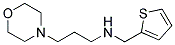 (3-MORPHOLIN-4-YL-PROPYL)-THIOPHEN-2-YLMETHYL-AMINE CAS#: 869949-19-9