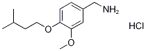 [3-Methoxy-4-(3-methylbutoxy)benzyl]aminehydrochloride CAS#: 854185-19-6