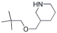 3-[(NEOPENTYLOXY)METHYL]PIPERIDINE CAS#: 883544-53-4