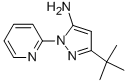 3-TERT-BUTYL-1-(PYRIDIN-2-YL)-1H-PYRAZOL-5-AMINE CAS#: 862368-62-5