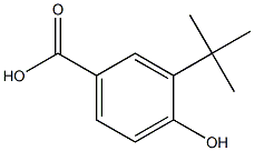 3-Tert-butyl-4-hydroxybenzoic acid CAS#: 859034-02-9