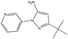 3-(tert-Butyl)-1-(3-pyridyl)pyrazole-5-amine CAS#: 876299-97-7
