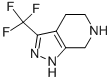 3-(trifluoromethyl)-4,5,6,7-tetrahydro-1H-pyrazolo[3,4-c]pyridine CAS#: 853784-21-1