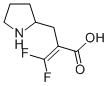 3,3-DIFLUORO-2-(2-PYRROLIDINYLMETHYL)AC& CAS#: 870703-86-9