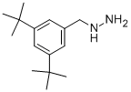 (3,5-DI-TERT-BUTYL-BENZYL)-HYDRAZINE CAS#: 887594-73-2
