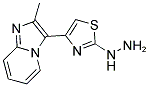 [4-(2-METHYL-IMIDAZO[1,2-A]PYRIDIN-3-YL)-THIAZOL-2-YL]-HYDRAZINE CAS#: 886503-45-3