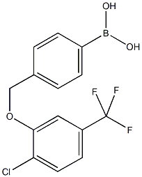 4-[(2'-chloro-5'-(trifluoromethyl)phenoxy)methyl]phenylboronic acid CAS#: 849062-05-1