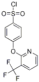 4-{[3-(Trifluoromethyl)pyridin-2-yl]oxy}benzenesulfonyl chloride, 97% CAS#: 874839-13-1
