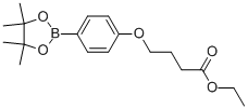 4-[4-(4,4,5,5-TETRAMETHYL-[1,3,2]DIOXABOROLAN-2-YL)-PHENOXY]-BUTYRIC ACID ETHYL ESTER CAS#: 859169-90-7